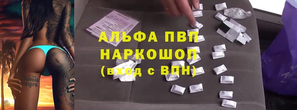 кокс Бородино