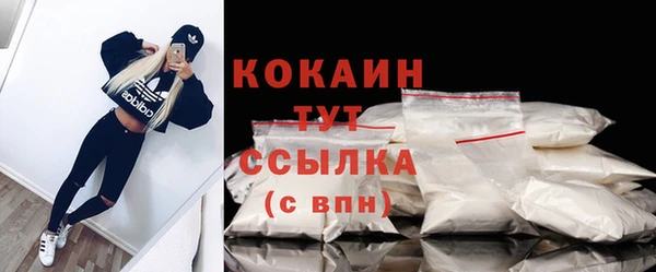 кокс Бородино