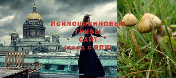 дмт Бугульма