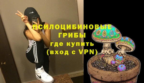 кокс Бородино