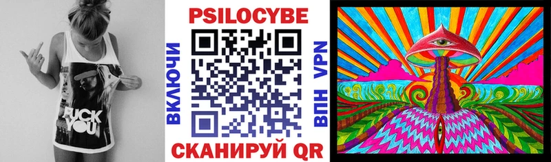 Псилоцибиновые грибы Psilocybe  сколько стоит  Конаково 